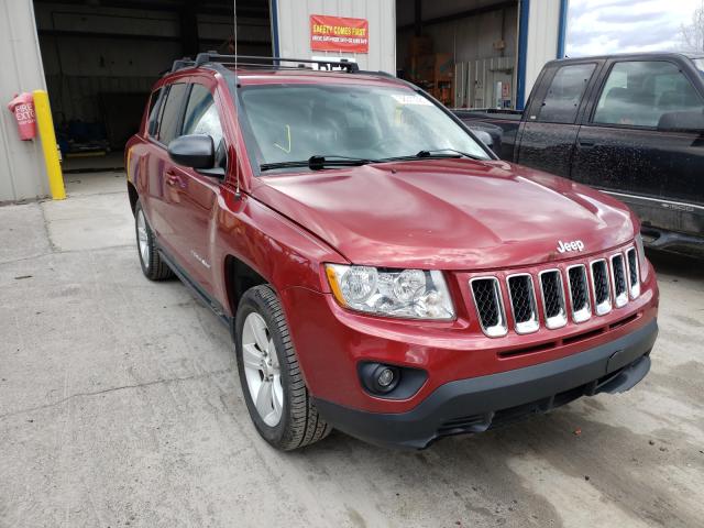 JEEP COMPASS SP 2011 1j4nf1fb5bd223675