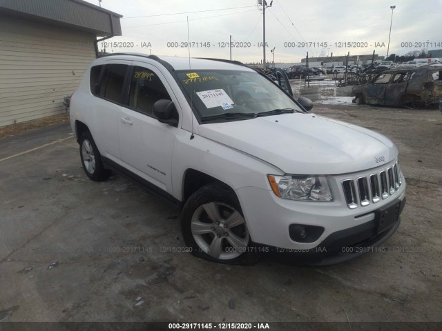 JEEP COMPASS 2011 1j4nf1fb5bd250486