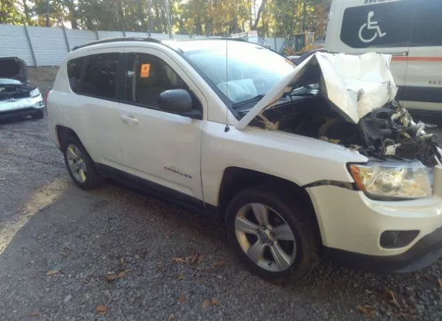 JEEP COMPASS 2011 1j4nf1fb5bd266610