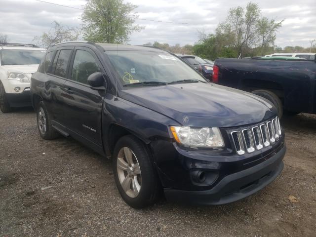 JEEP COMPASS SP 2011 1j4nf1fb6bd135136