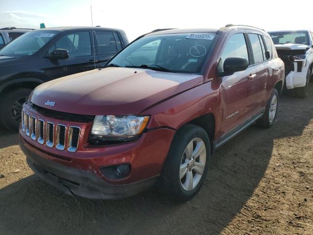 JEEP COMPASS SP 2011 1j4nf1fb6bd135315