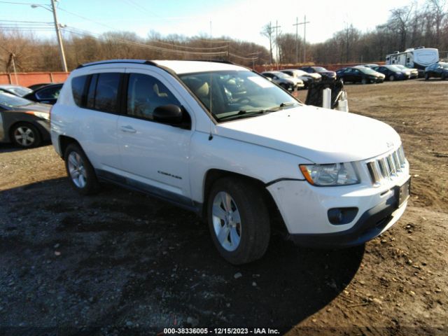 JEEP COMPASS 2011 1j4nf1fb6bd156665