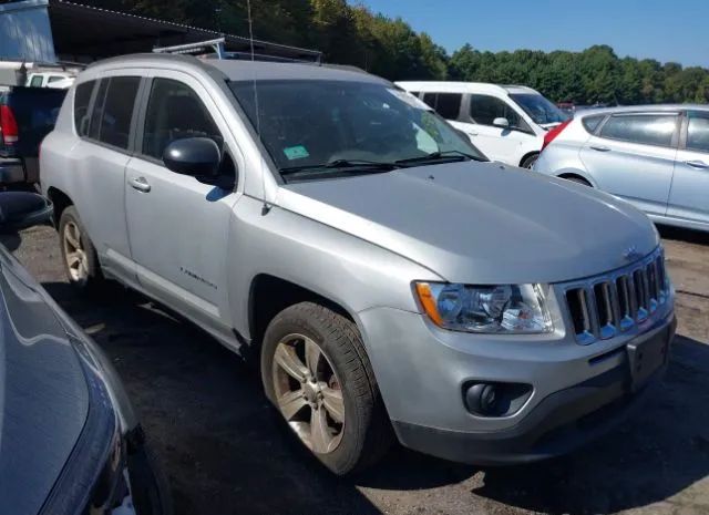 JEEP COMPASS 2011 1j4nf1fb6bd255616