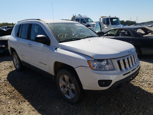 JEEP COMPASS SP 2011 1j4nf1fb6bd280189