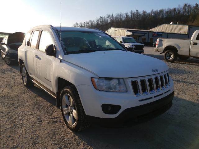 JEEP COMPASS SP 2011 1j4nf1fb6bd281486