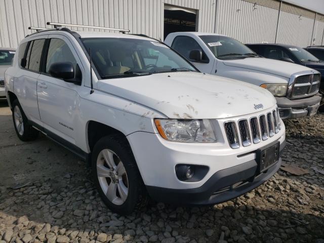 JEEP COMPASS SP 2011 1j4nf1fb7bd259464