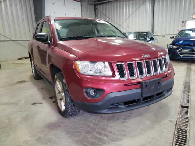 JEEP COMPASS SP 2011 1j4nf1fb8bd136627