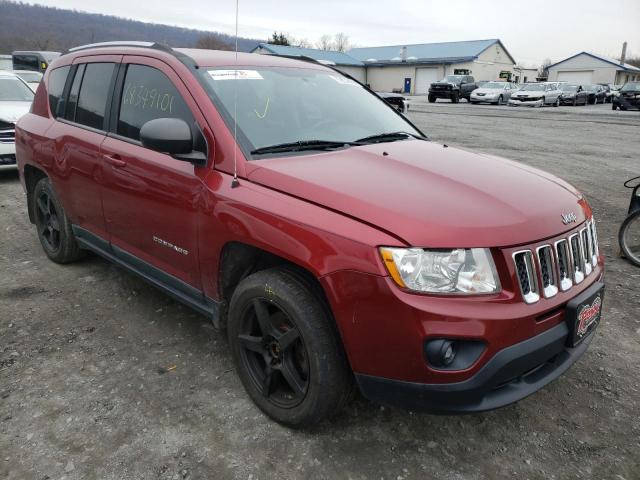 JEEP COMPASS SP 2011 1j4nf1fb8bd216610