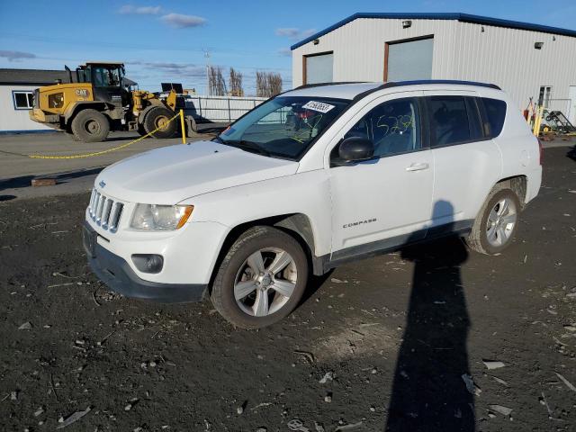 JEEP COMPASS SP 2011 1j4nf1fb9bd174657