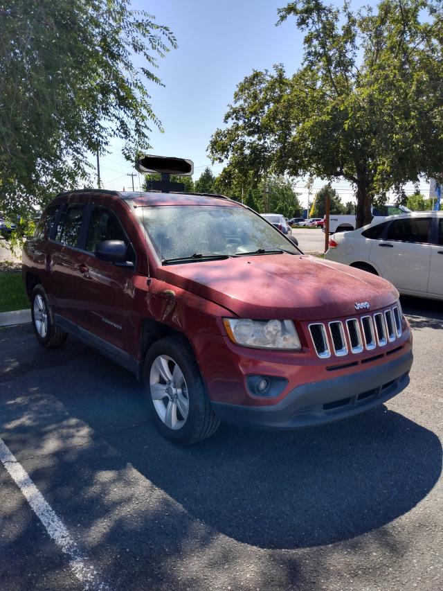 JEEP COMPASS SP 2011 1j4nf1fb9bd191314