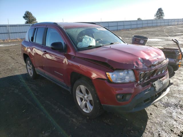 JEEP COMPASS SP 2011 1j4nf1fbxbd134510