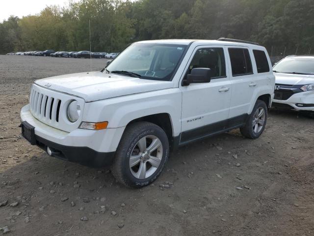 JEEP PATRIOT SP 2011 1j4nf1gb5bd218801