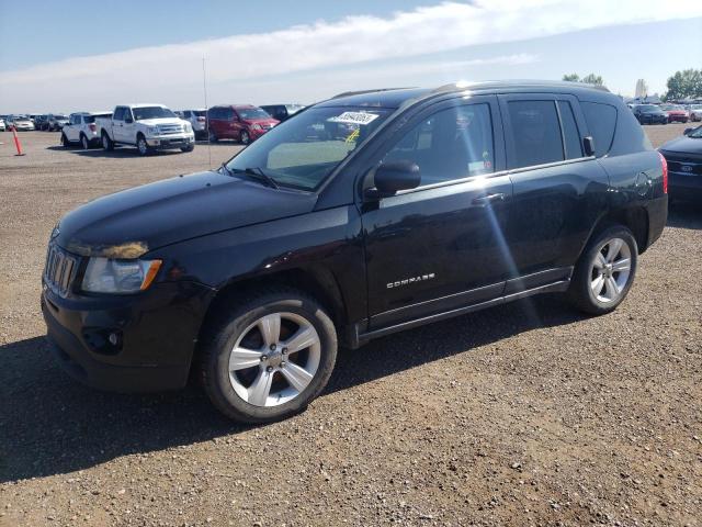 JEEP COMPASS 2011 1j4nf4fb0bd135988