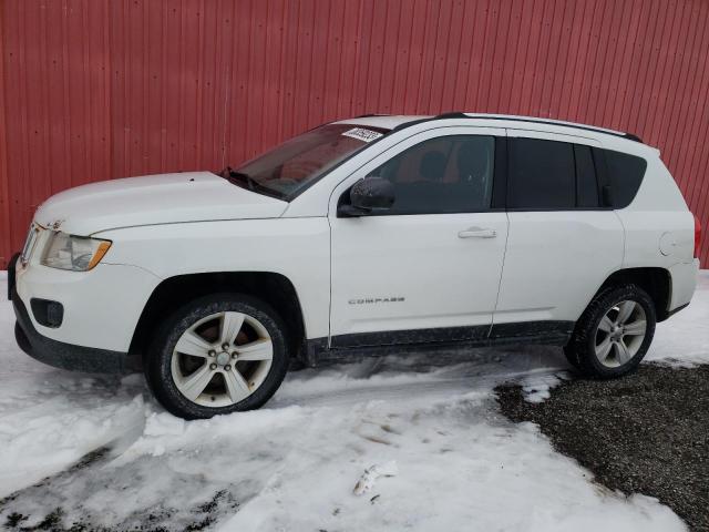 JEEP COMPASS 2011 1j4nf4fb3bd149013