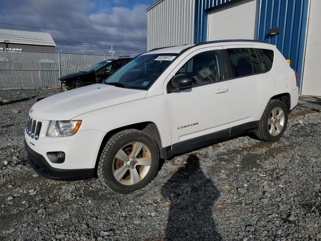 JEEP COMPASS 2011 1j4nf4fb4bd169528