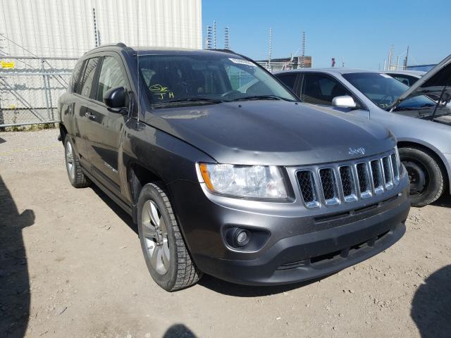 JEEP COMPASS 2011 1j4nf4fb4bd235317