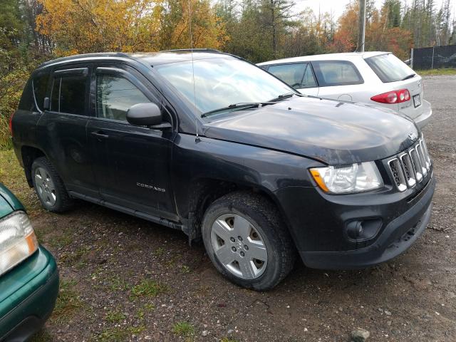 JEEP COMPASS 2011 1j4nf4fb8bd133776