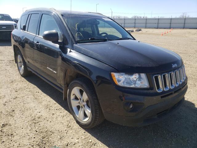 JEEP COMPASS 2011 1j4nf4fb9bd136699