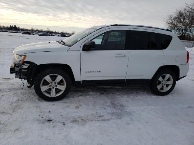 JEEP COMPASS 2011 1j4nf4fbxbd154709