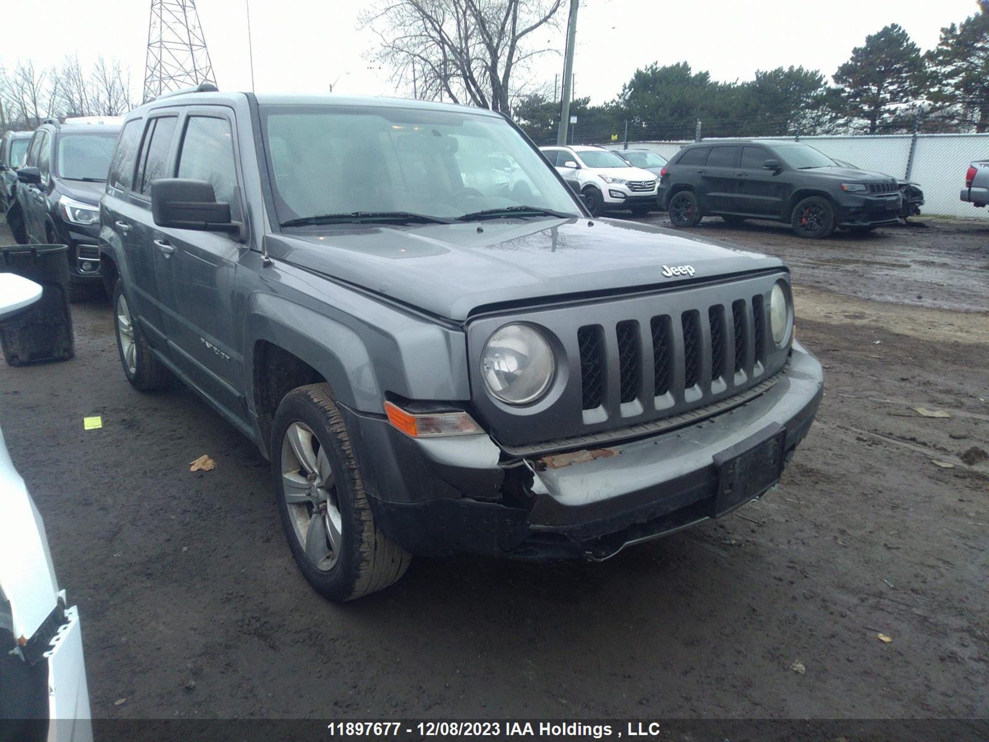 JEEP LIBERTY (PATRIOT) 2011 1j4nf4gb1bd239064