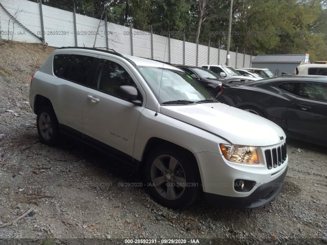 JEEP COMPASS 2011 1j4nt1fa0bd216813