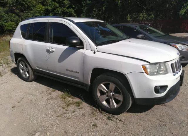 JEEP COMPASS 2011 1j4nt1fa1bd165600