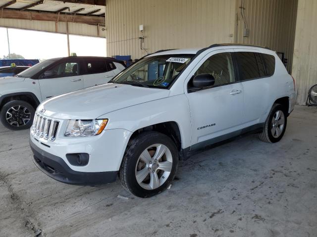 JEEP COMPASS 2011 1j4nt1fa4bd195027