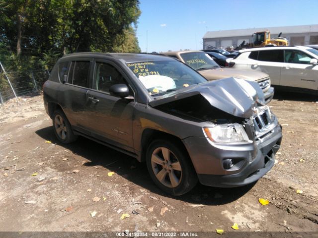 JEEP COMPASS 2011 1j4nt1fa5bd287991