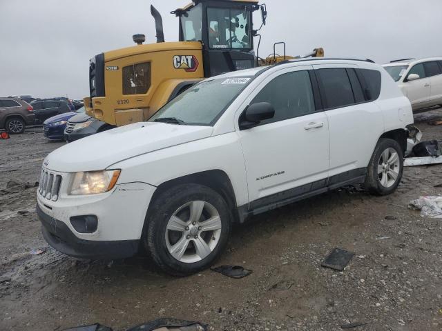 JEEP COMPASS 2011 1j4nt1fa6bd290138