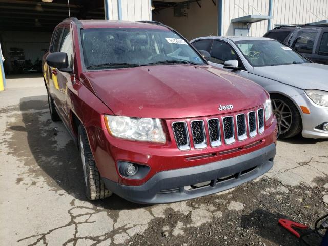 JEEP COMPASS SP 2011 1j4nt1fa7bd181087