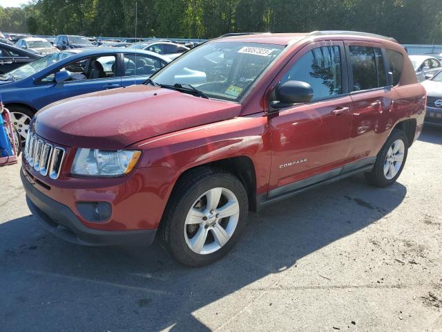 JEEP COMPASS SP 2011 1j4nt1fa8bd155680