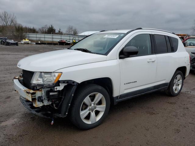 JEEP COMPASS 2011 1j4nt1fa9bd252872