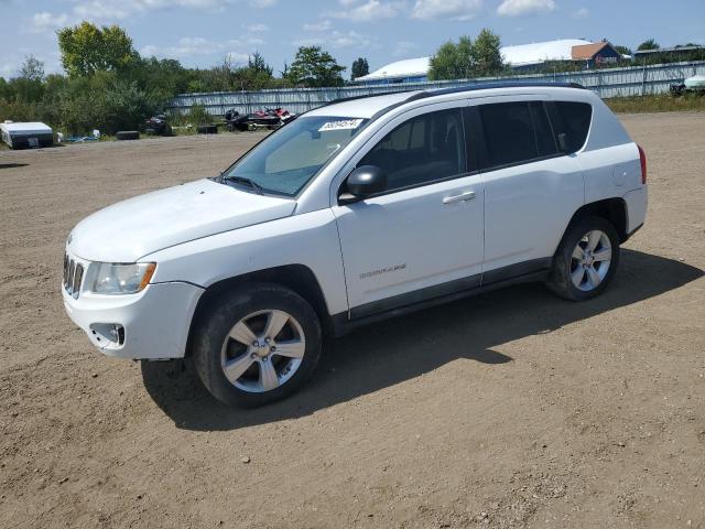 JEEP COMPASS SP 2011 1j4nt1fb4bd253243