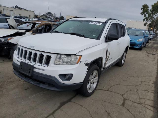 JEEP COMPASS 2011 1j4nt1fb8bd137916