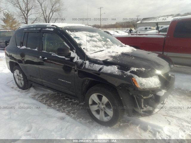 JEEP COMPASS 2011 1j4nt1fb8bd215904