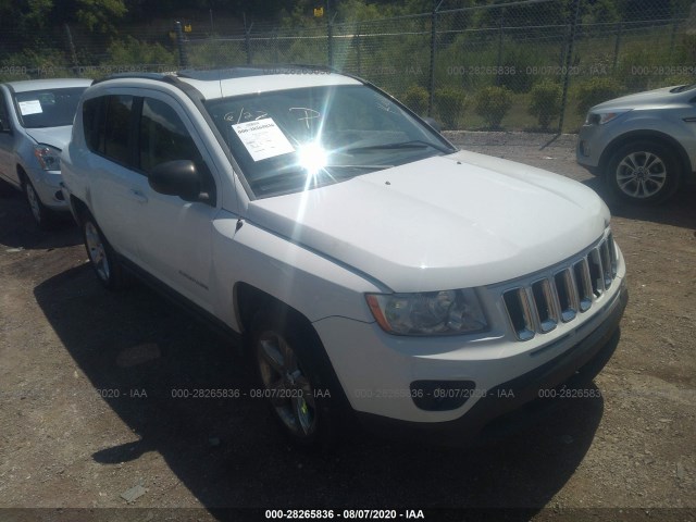 JEEP COMPASS 2011 1j4nt5fb2bd287303