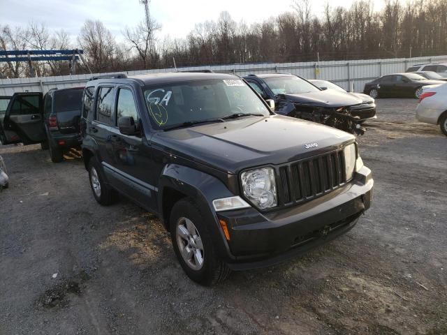 JEEP LIBERTY SP 2010 1j4pn2gk0aw127407