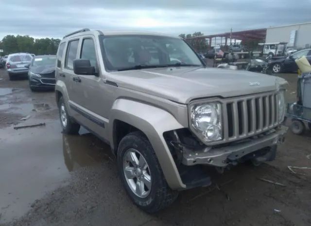 JEEP LIBERTY 2010 1j4pn2gk0aw176378