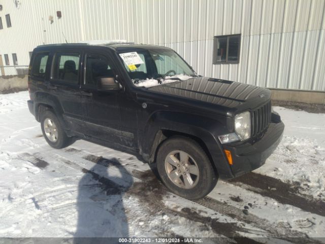 JEEP LIBERTY 2011 1j4pn2gk0bw526187