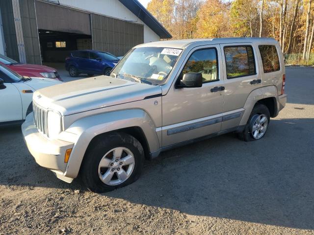 JEEP LIBERTY SP 2011 1j4pn2gk0bw591332