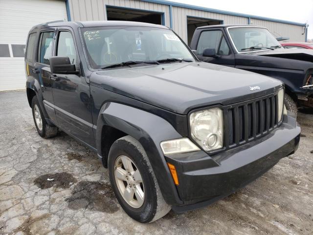 JEEP LIBERTY SP 2011 1j4pn2gk0bw592190