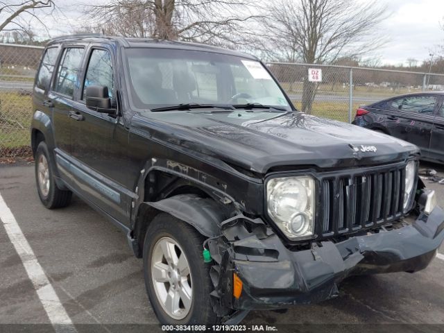 JEEP LIBERTY 2010 1j4pn2gk1aw107201