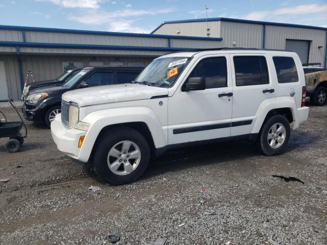 JEEP LIBERTY 2010 1j4pn2gk1aw166779