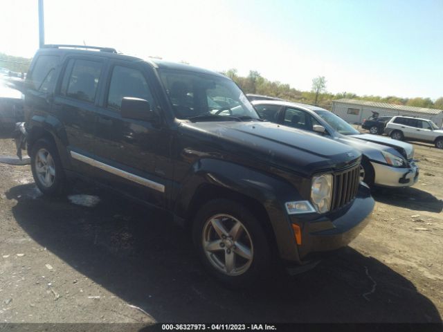 JEEP LIBERTY 2010 1j4pn2gk1aw175577