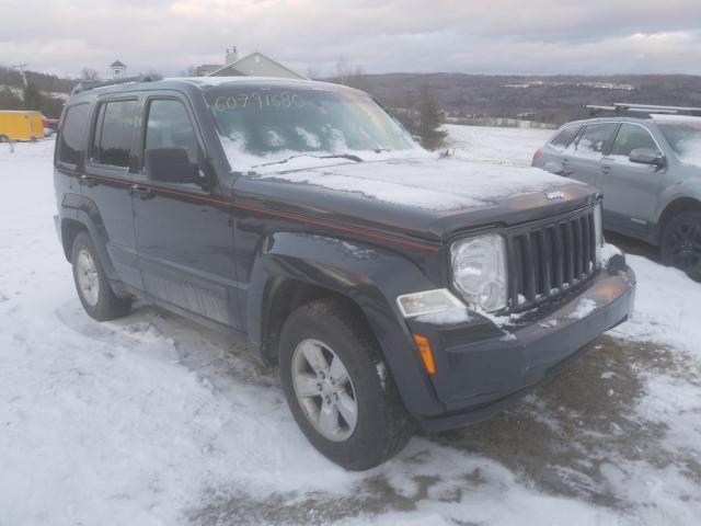 JEEP LIBERTY SP 2010 1j4pn2gk2aw135248