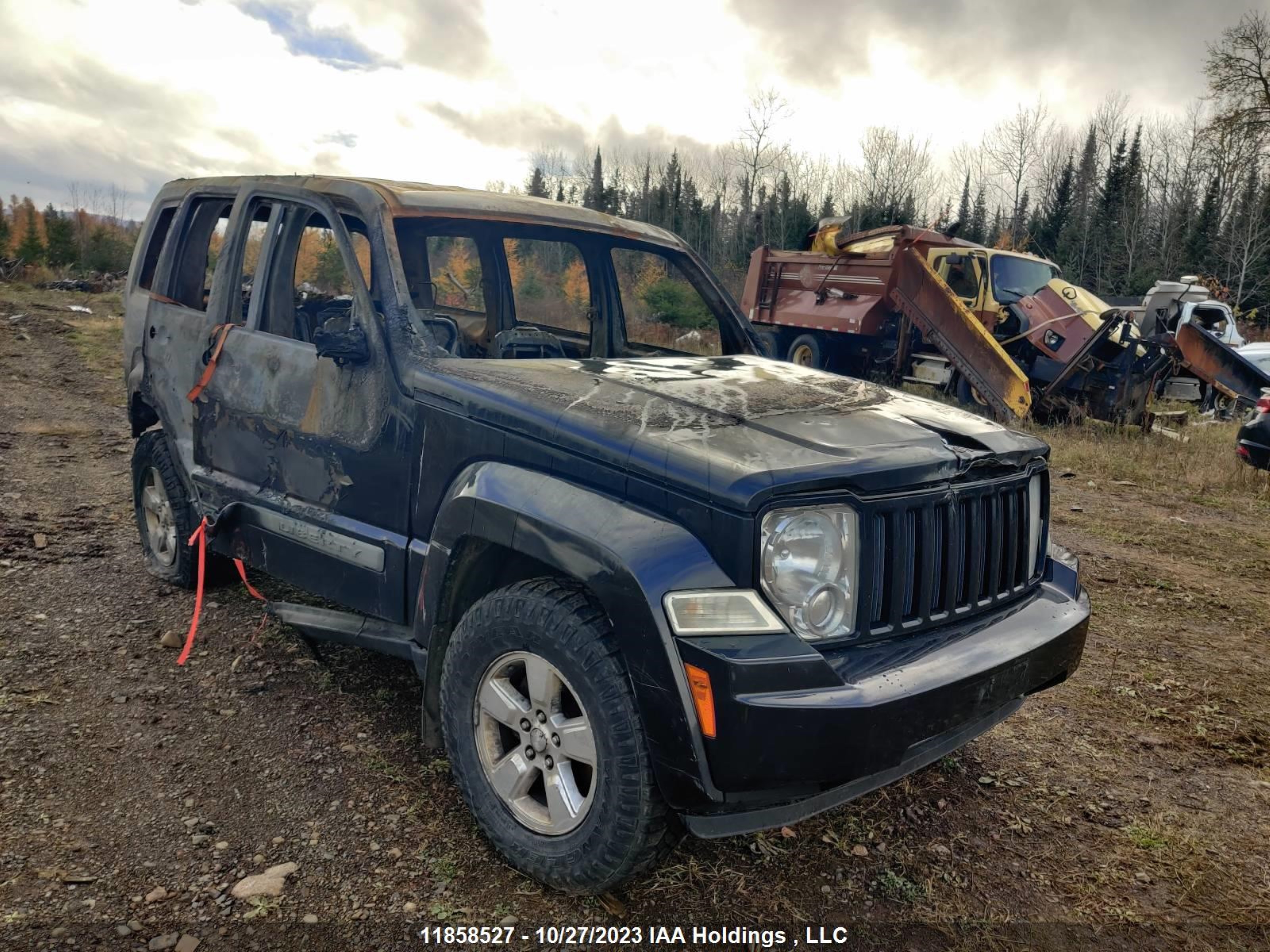 JEEP LIBERTY (NORTH AMERICA) 2010 1j4pn2gk2aw151630