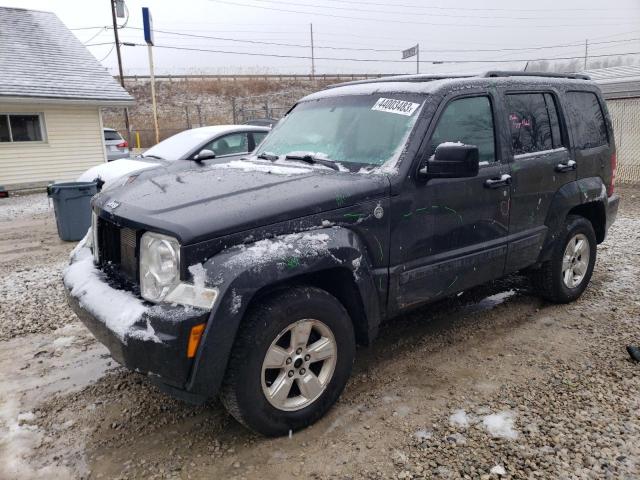 JEEP LIBERTY SP 2011 1j4pn2gk2bw573446