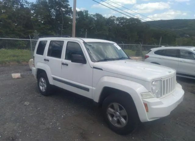 JEEP LIBERTY 2010 1j4pn2gk3aw138563