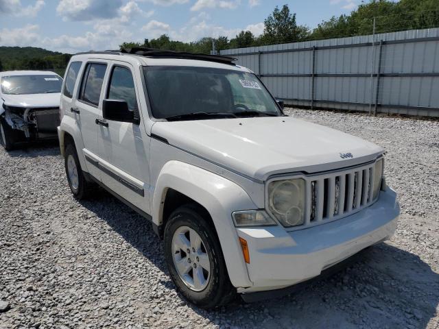 JEEP LIBERTY SP 2010 1j4pn2gk3aw149305