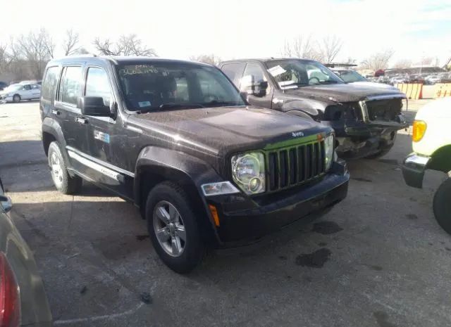 JEEP LIBERTY 2010 1j4pn2gk3aw159123